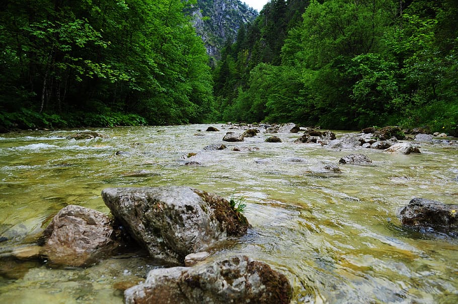 River Between Mountain Surrounded by Green Leaf Trees, boulders HD wallpaper