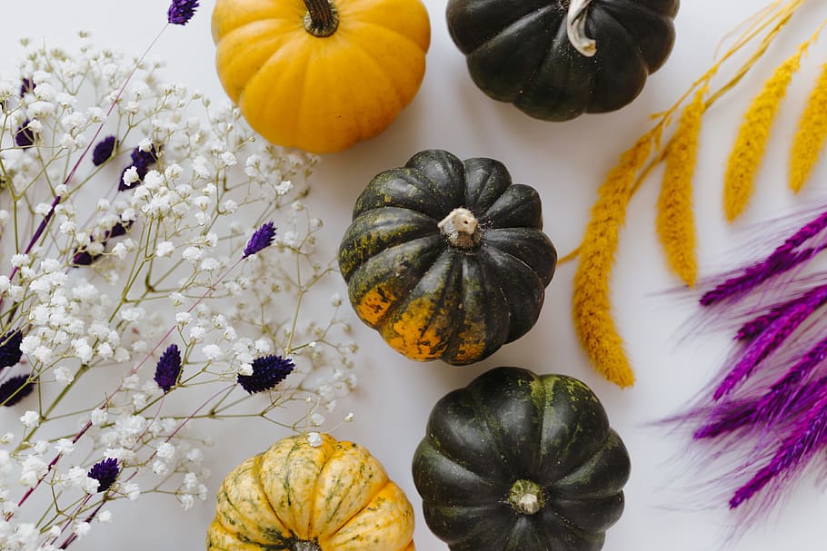 Small yellow and dark green pumpkins on a white background, yellow pumpkin