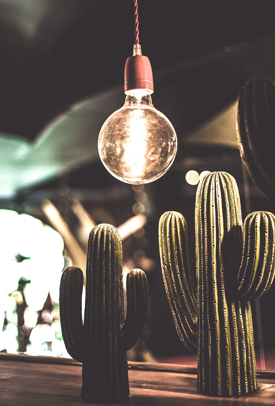 iran, tehran province, bulb, light, kaktus, light bulb, lights, HD wallpaper