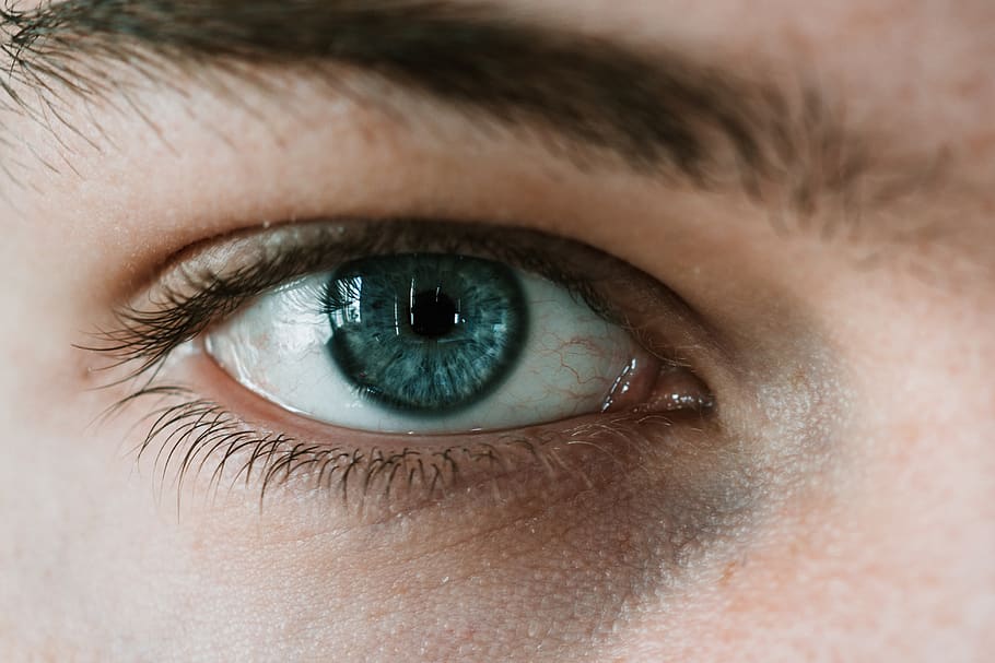 right man's eye, contact lens, person, human, skin, piercing, HD wallpaper
