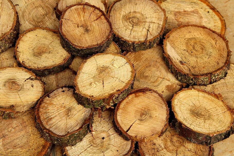 tree, wood, cut down a tree, nature, pattern, the background HD wallpaper