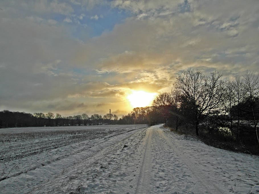 snow, sun, wintry, cold temperature, sky, winter, tree, sunset HD wallpaper
