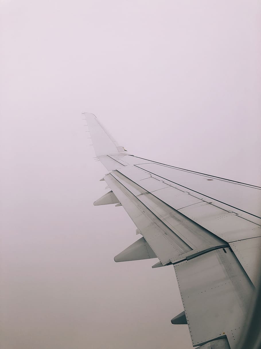 gray airplane wing, transportation, aircraft, grey, nature, fog HD wallpaper