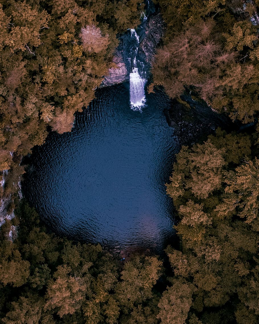 aerial photography of body of water surrounded by trees, drone view HD wallpaper