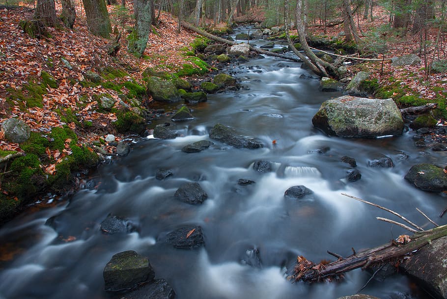 united states, conway, fall, stream, white mountains, autumn HD wallpaper