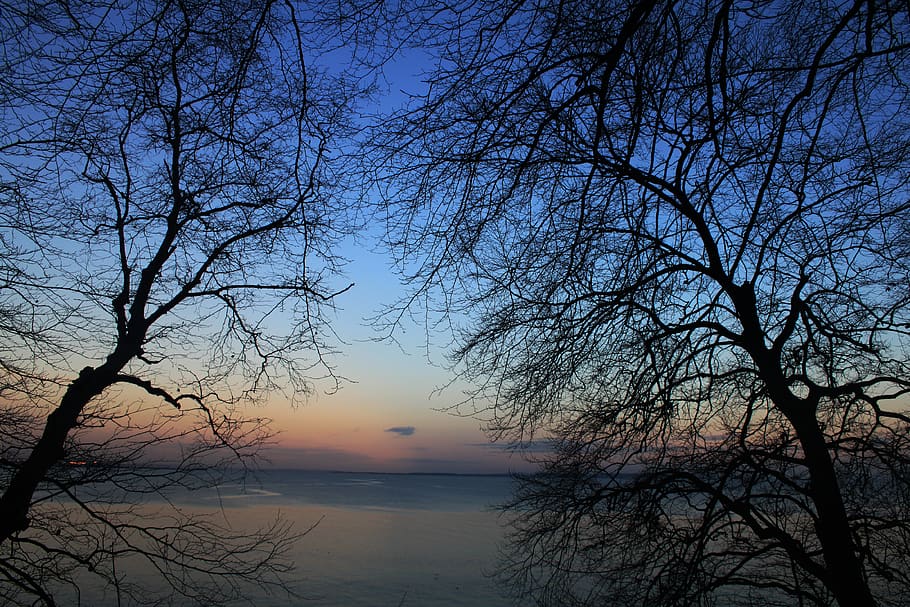 water, trees, colours, ocean, sky, scenics - nature, beauty in nature HD wallpaper
