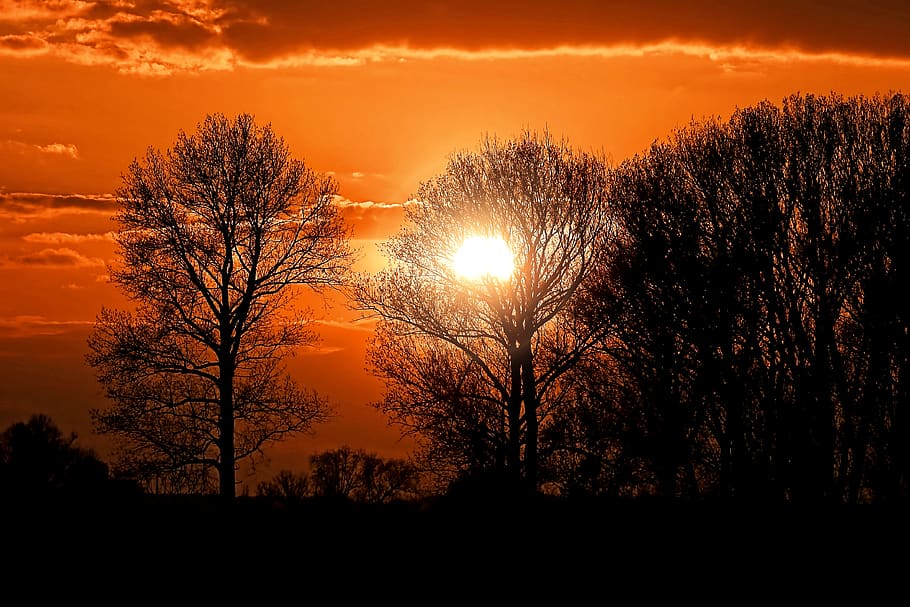 sunset, sky, trees silhouette, landscape, evening, mood, abendstimmung HD wallpaper