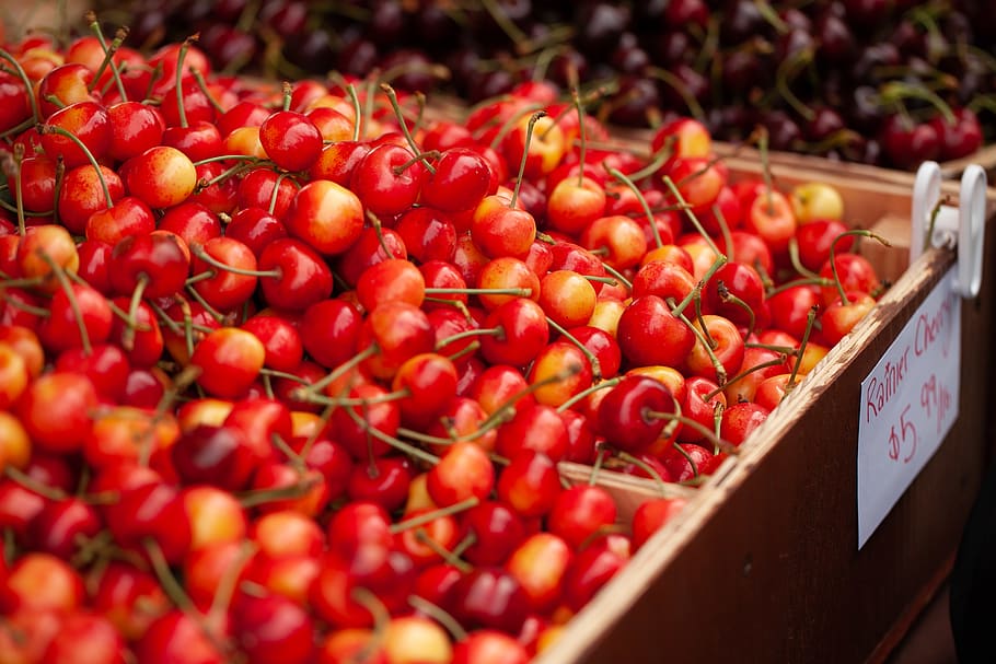 red cherries, plant, food, fruit, cherry, market, farmers market, HD wallpaper