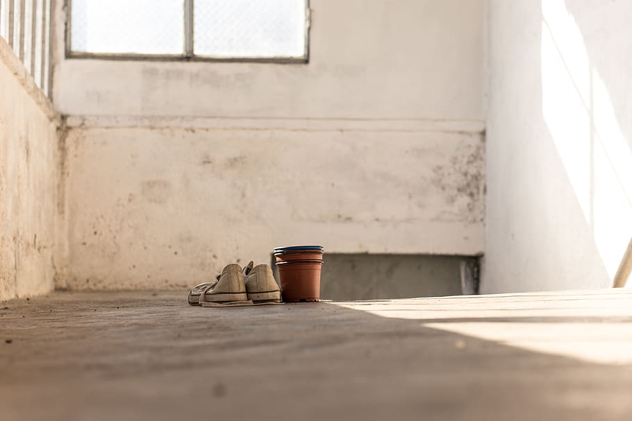 white low-top sneakers, portugal, tomar, pot, grey, wood, plywood HD wallpaper