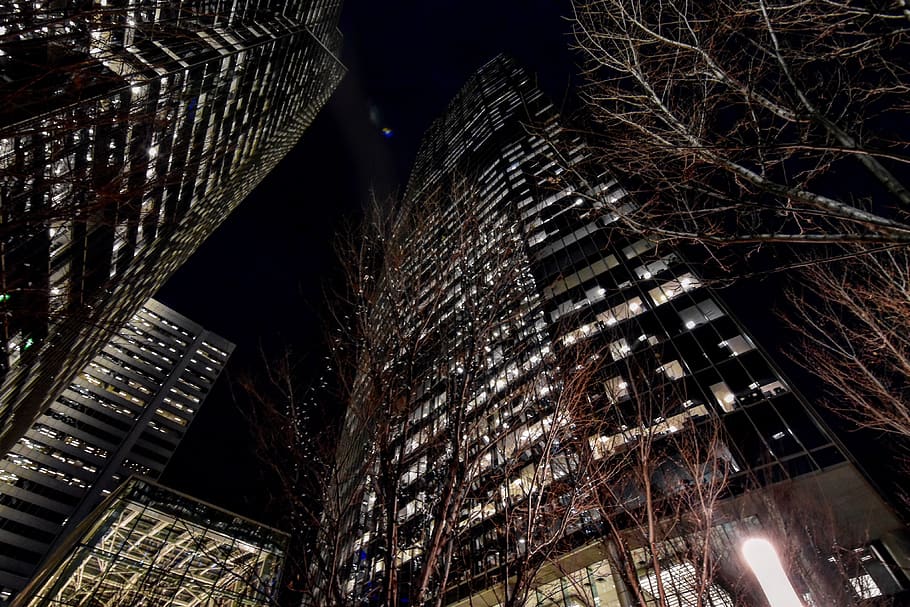 canada, calgary, downtown, skyscraper, perspective, lights HD wallpaper