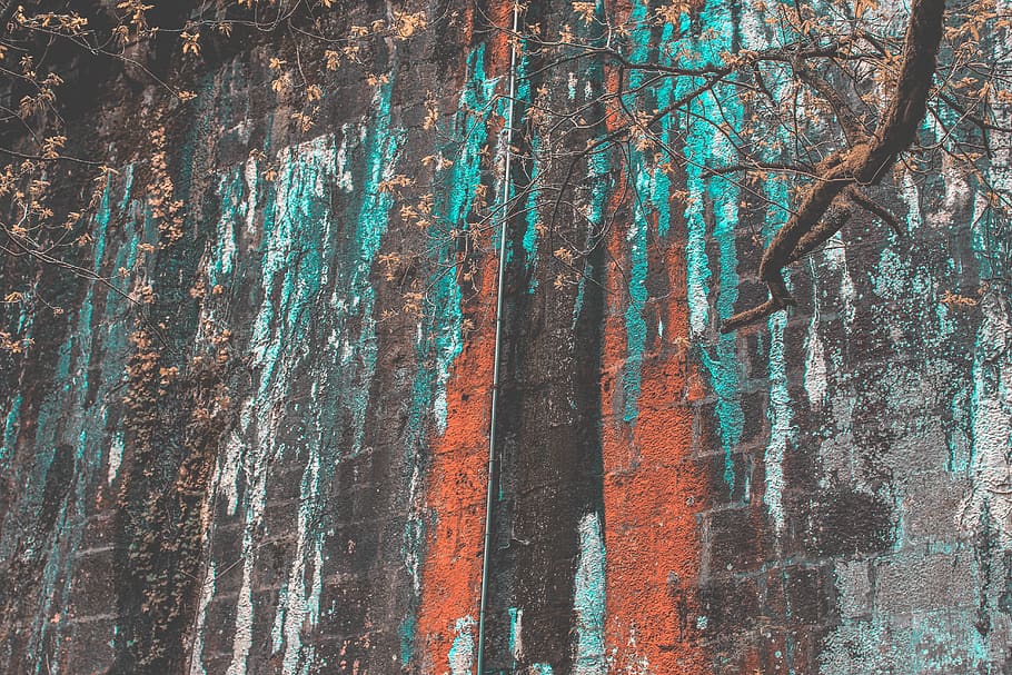 colors, winter, wave, air, orange, blue, forest, tree, trunk HD wallpaper