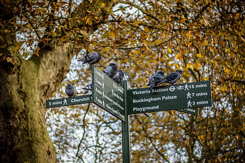 Hd Wallpaper London St James S Park City Victoria Station