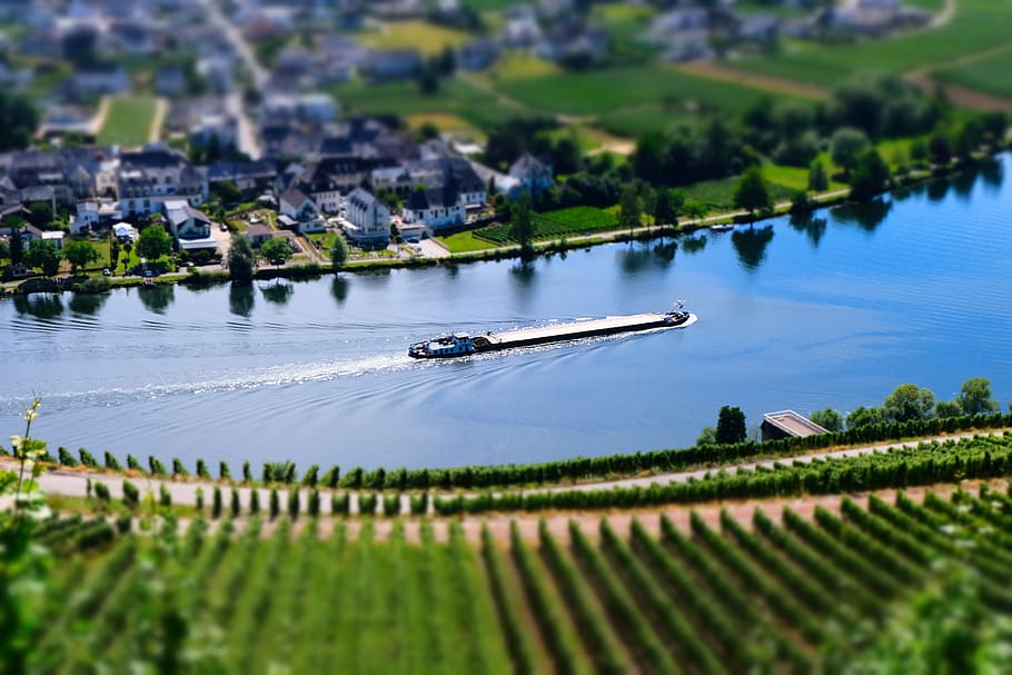 germany, minheim, trees, wine, river, boat, water, transportation HD wallpaper