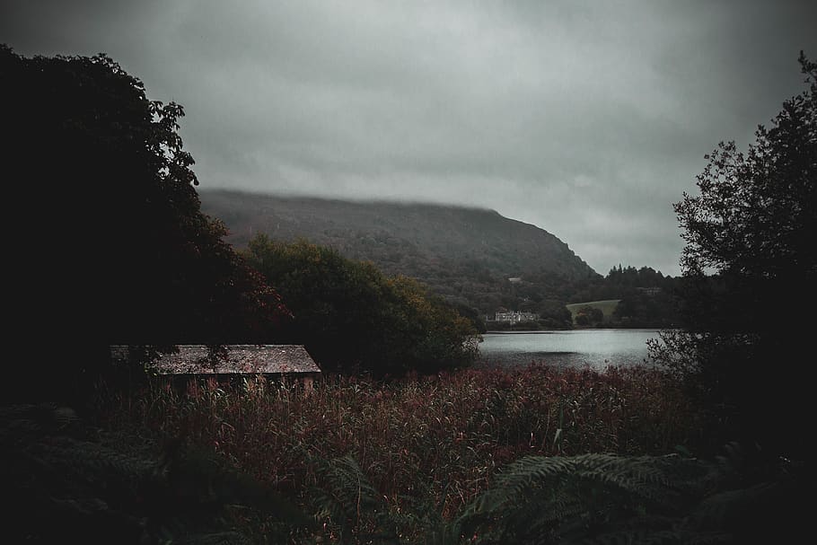 Low Light Photography of Lake, bushes, clouds, cloudy, grey sky HD wallpaper