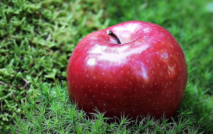 macro, fresh, fruit, food, nature, sweet, ripe, red, grass HD wallpaper