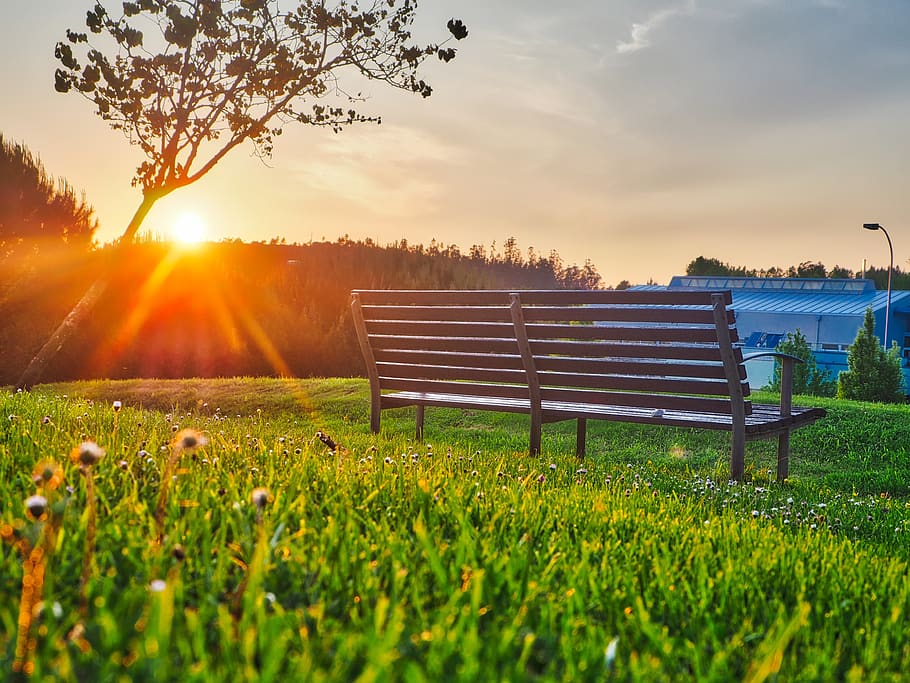 Brown Bench on Green Grass, nature, sky, sun, sunrise, sunset HD wallpaper