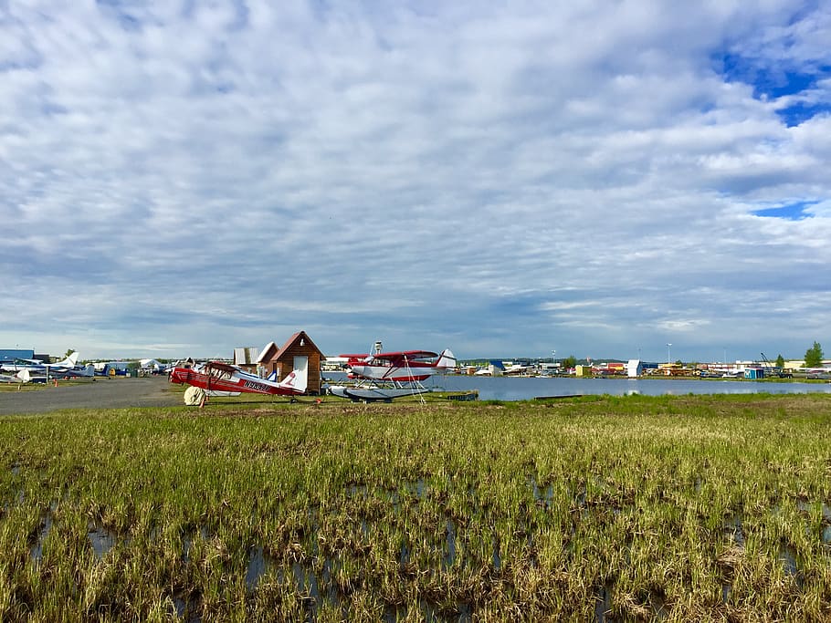 alaska, floatplane, cloud - sky, plant, grass, land, water HD wallpaper