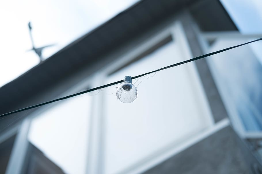 nature, lights, outside, web, spiderweb, bulb, lightbulb, low angle view HD wallpaper