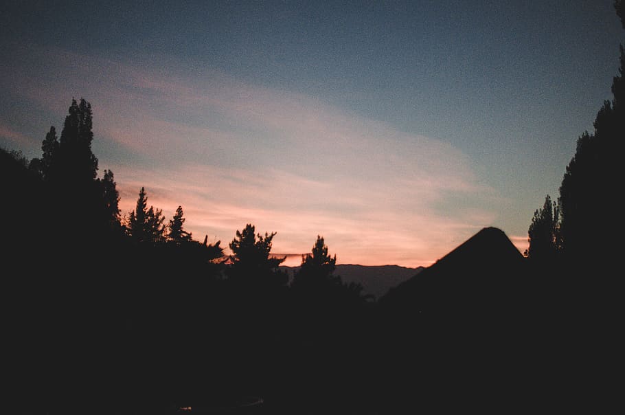 outdoors, abies, tree, plant, fir, nature, dusk, red sky, sunset HD wallpaper