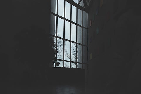 gray wooden framed window inside building, washington, national gallery of art HD wallpaper