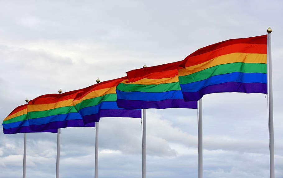 pride, pride day, rainbow, color, flag, lgbt, lesbian, gay, HD wallpaper