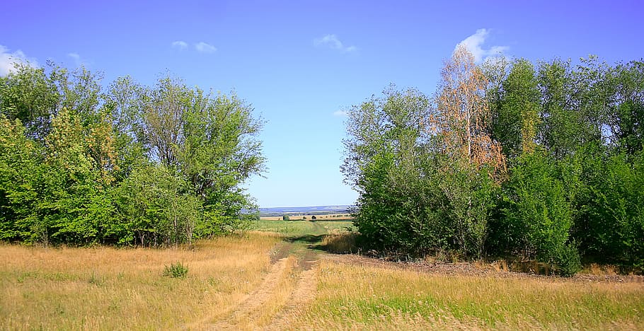 nature, outdoor, scene, scenery, scenic, sky, summer, tranquil HD wallpaper