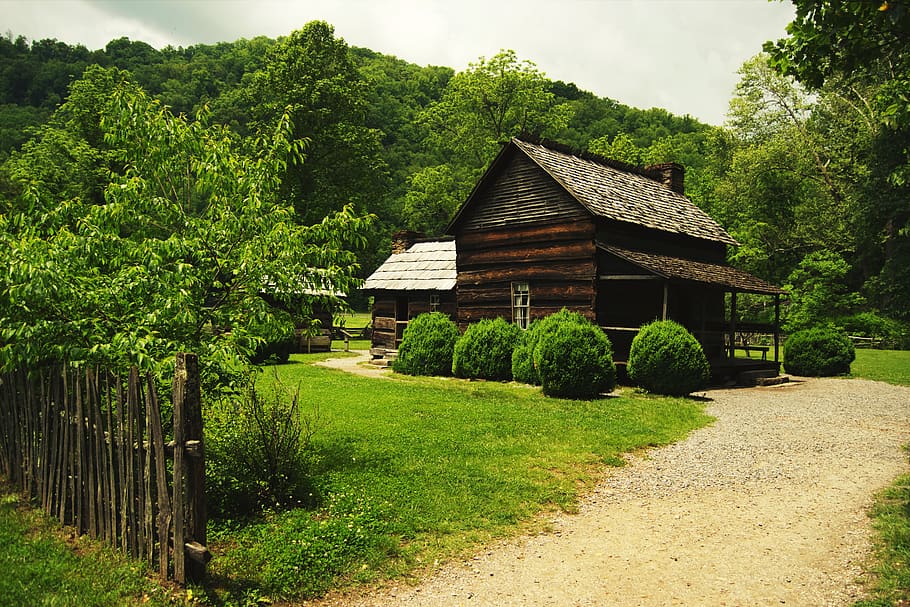 old cottage, mountains, forest, house, grass, wood, nature HD wallpaper