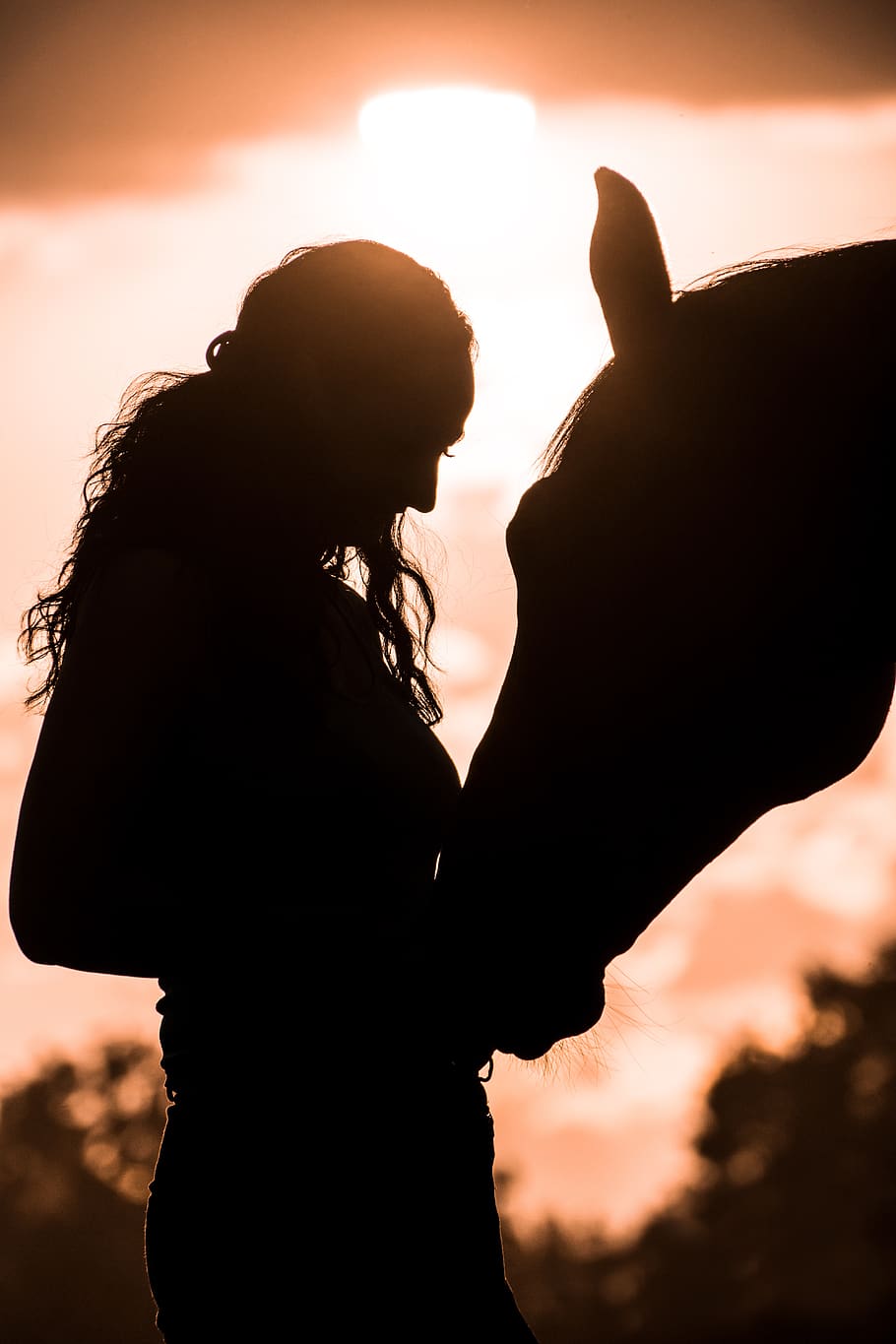 sunset, silhouette, afterglow, evening, horse, animal, human HD wallpaper