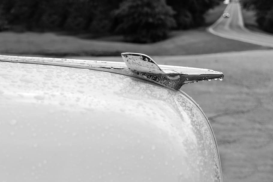 hood ornament, car, vehicle, automobile, black and white, road