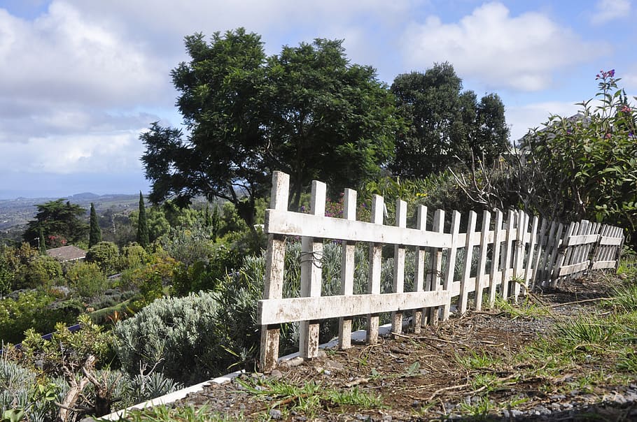 fence, trees, landscape, view, plant, sky, nature, cloud - sky HD wallpaper
