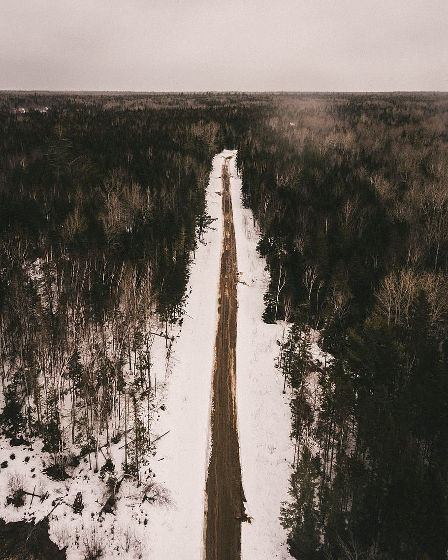 canada, elsipogtog first nation, road, snow, winter, woods, HD wallpaper