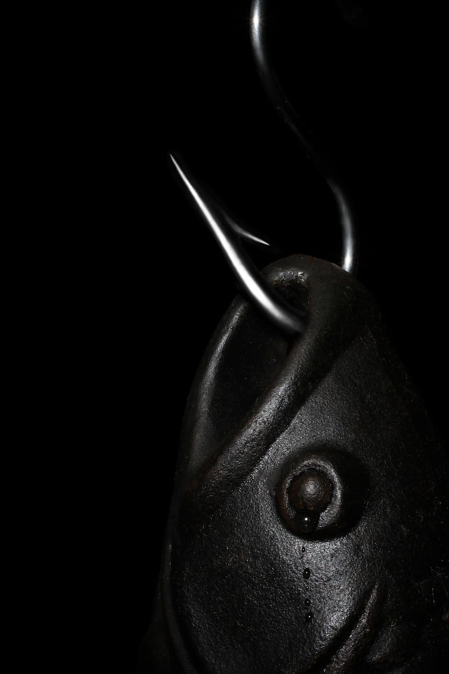 fish, black andwhite, dont cry, close-up, black background HD wallpaper