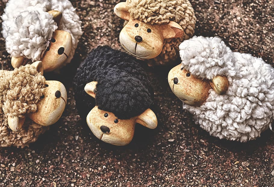 HD wallpaper: the black sheep, figures, clay figures, wool, cute, deco,  funny | Wallpaper Flare