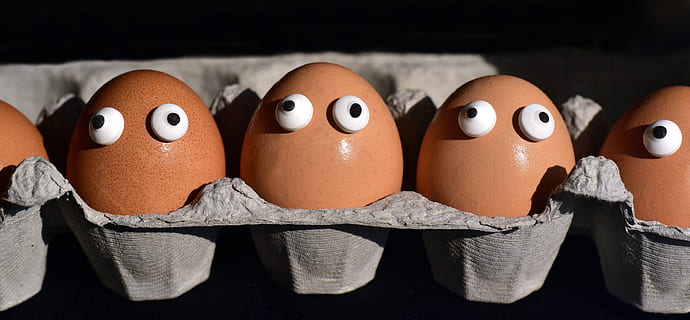 egg, egg box, egg carton, eggs heads, funny, sweating, society HD wallpaper