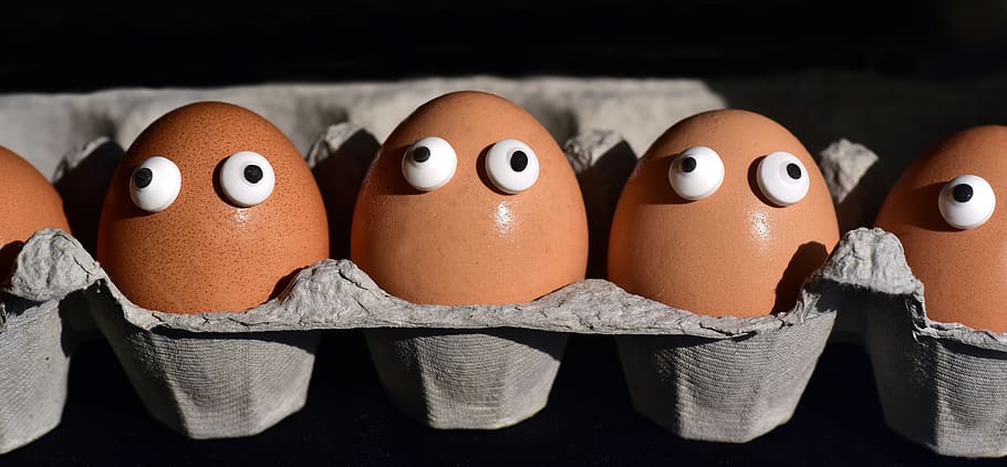 egg, egg box, egg carton, eggs heads, funny, sweating, society HD wallpaper