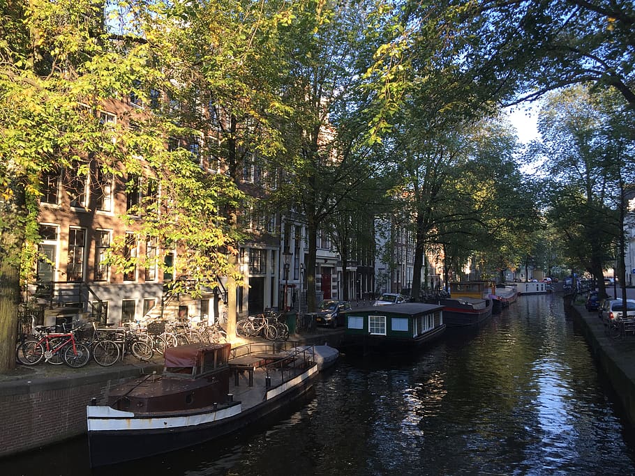 netherlands, amsterdam, canals, tree, plant, water, nautical vessel HD wallpaper
