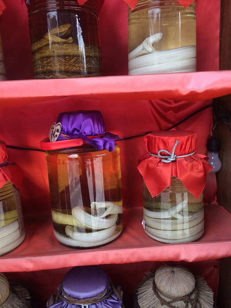 japan, naha, container, glass - material, indoors, transparent HD wallpaper