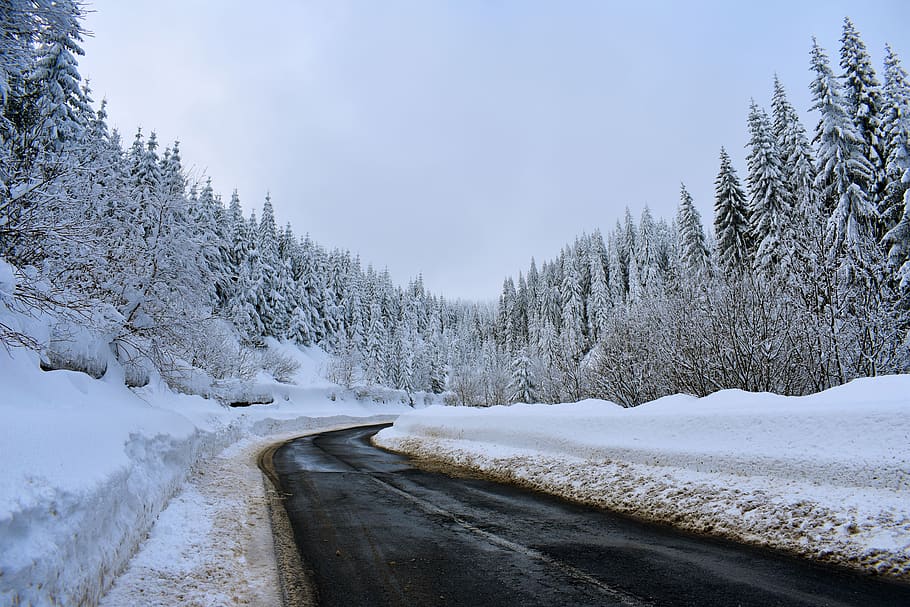 winter, snow, white, road, countryside, cold, landscape, peaceful HD wallpaper