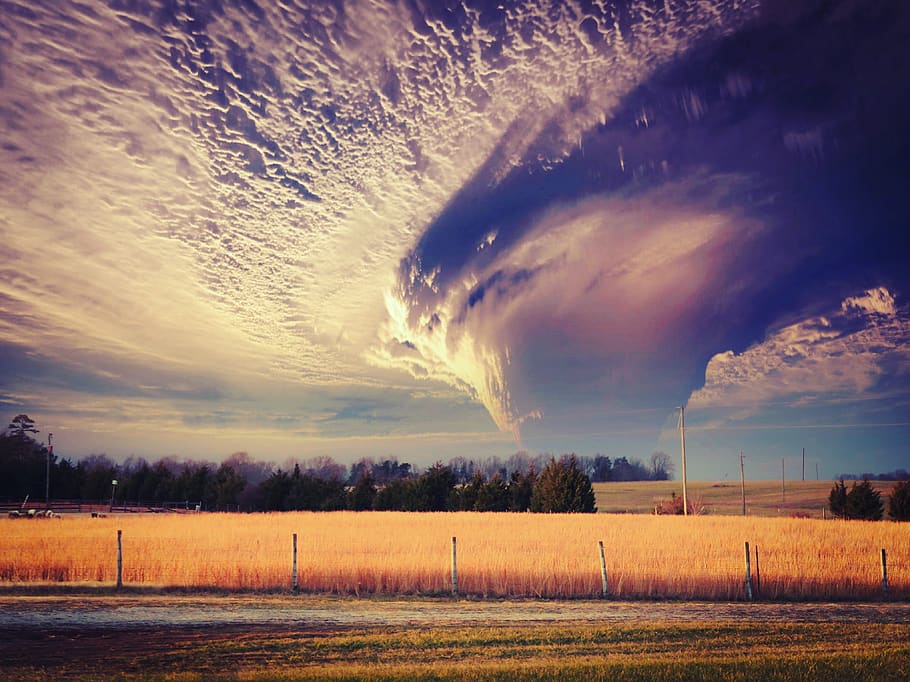sky, landscape, cloud - sky, field, beauty in nature, environment HD wallpaper