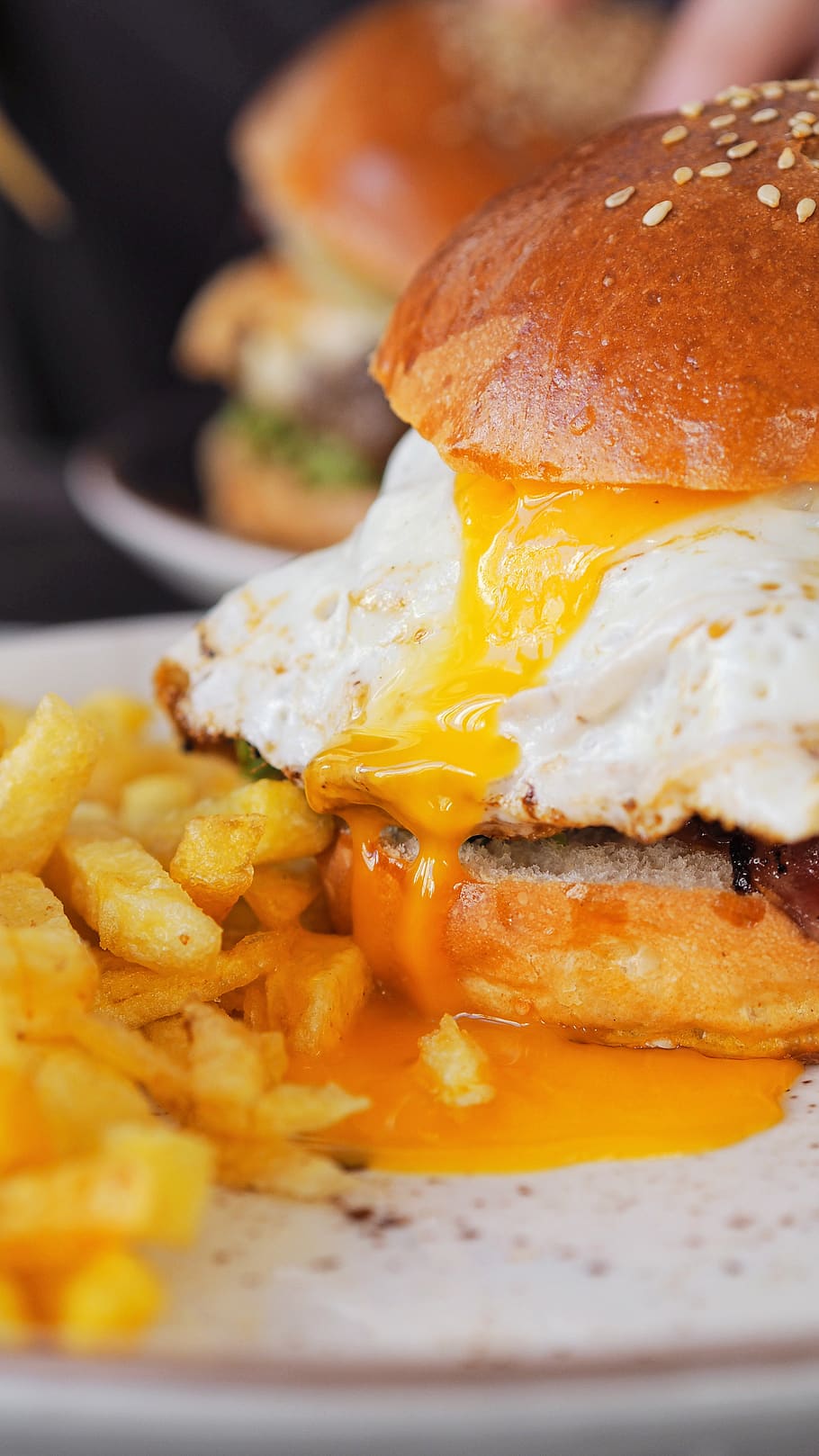 spain, málaga, yolk, egg, bun, restaurant, burger, fries, chips HD wallpaper