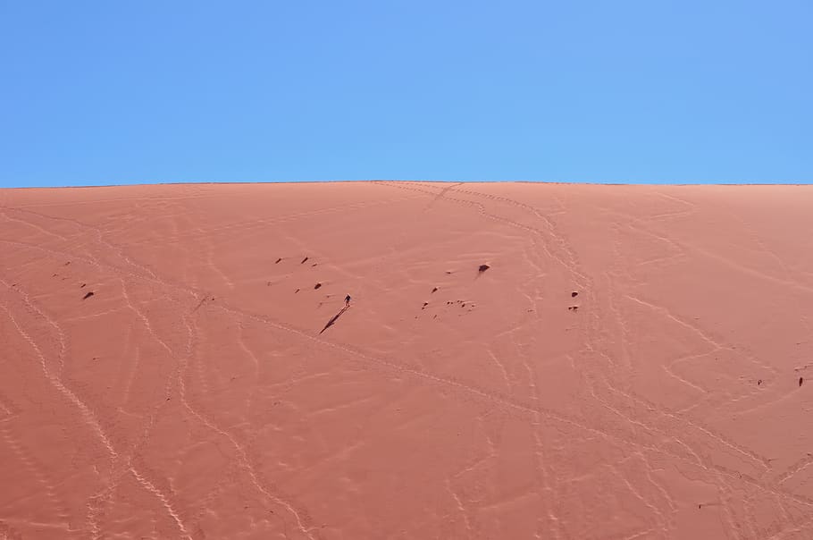 namibia, sossusvlei, dead vlei, wanderlust, scale, desert, orange, HD wallpaper