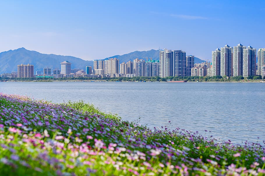 qingyuan, architecture, city, water, plant, sky, nature, building HD wallpaper