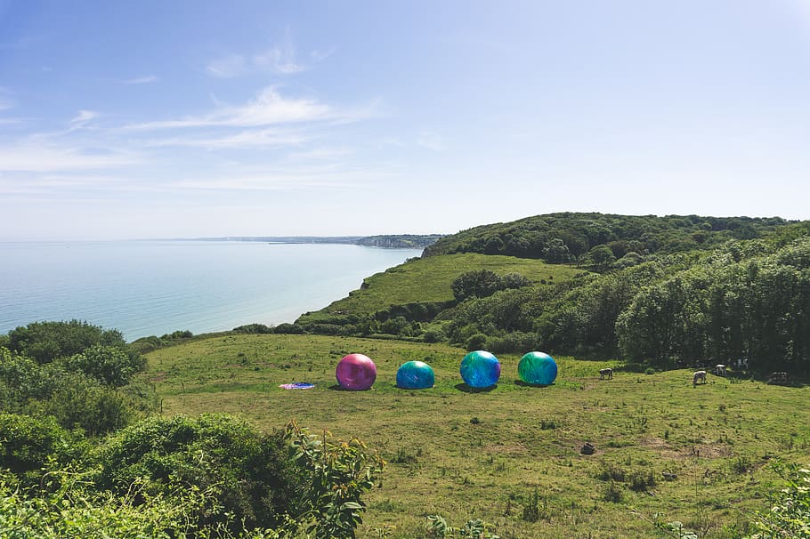 cliffs, normandy, green, summer, art, plant, sky, land, scenics - nature HD wallpaper