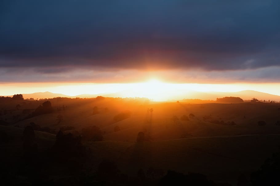 sunset, shade, trees, hill, scenics - nature, beauty in nature HD wallpaper
