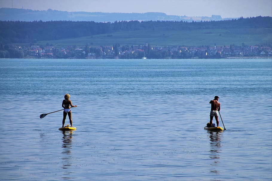 lake, active holidays, board, bodensee, sport, adult, spring, HD wallpaper