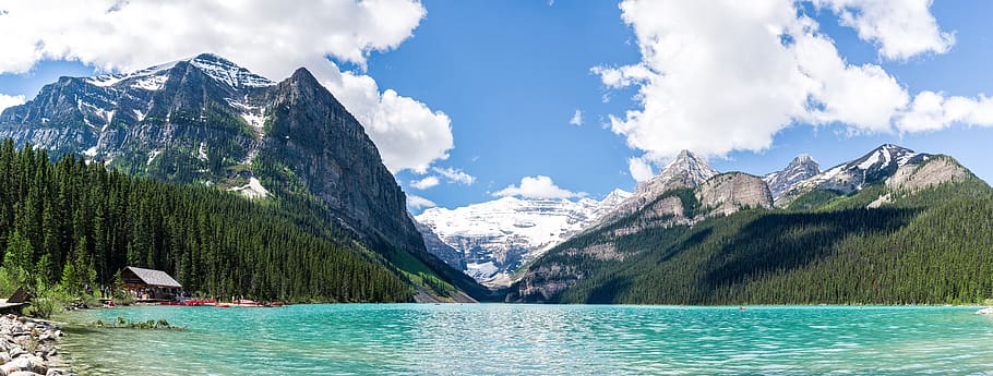 canada, lake louise, forest, banff, summer, pine trees, teal, HD wallpaper