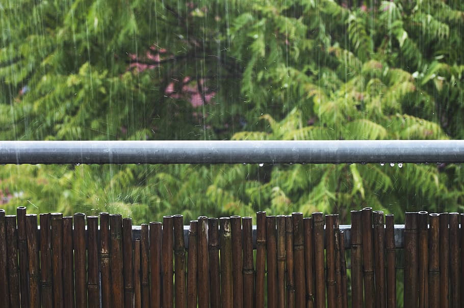 germany, berlin, friedrichshain, storm, trees, water, raindrops HD wallpaper