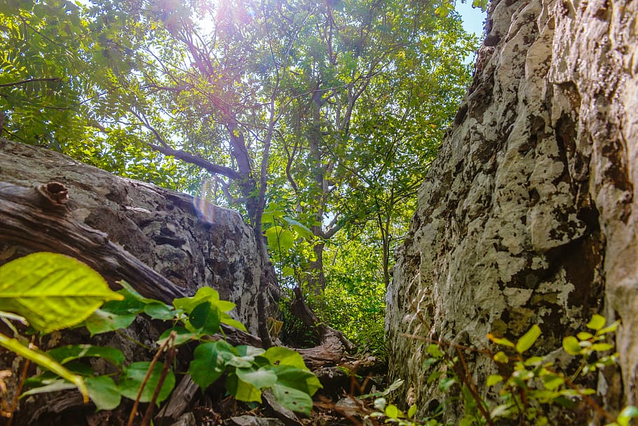 compton peak, united states, hiking, trail, shenandoah, rock scramble HD wallpaper
