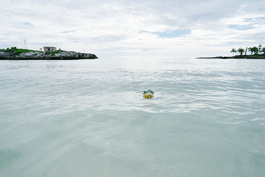 mexico, akumal, grand sirenis riviera maya resort, ocean, water, HD wallpaper