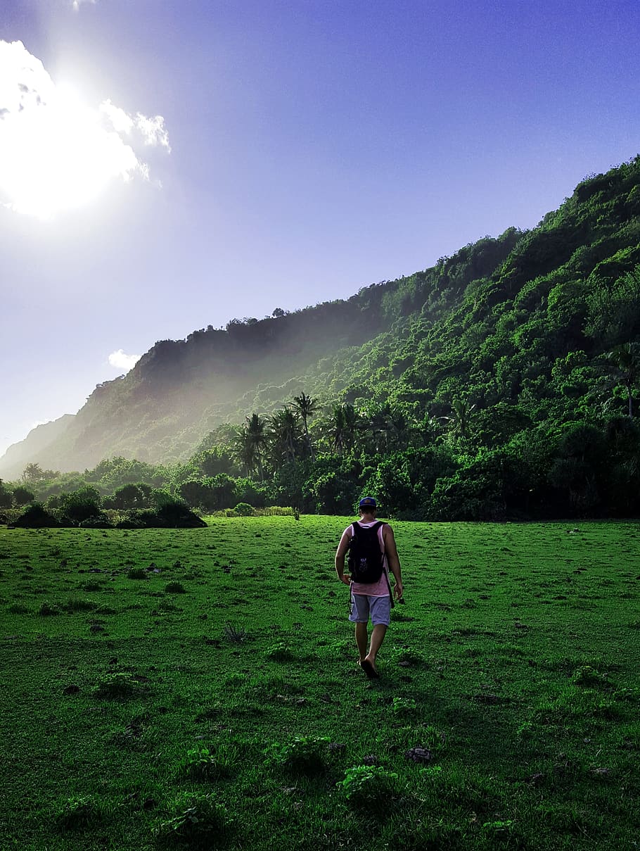 hiking, walk, away, nature, human, leisure, trail, recovery HD wallpaper